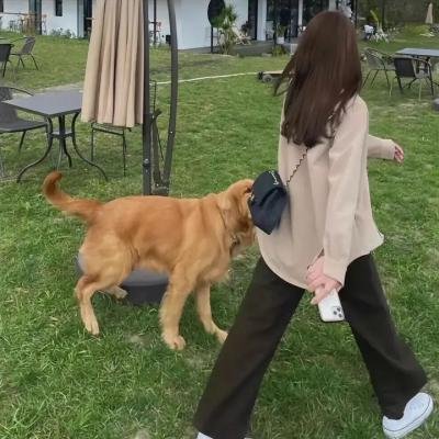 飞向月球